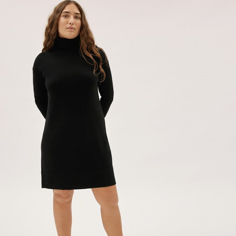 Everlane Cashmere Turtleneck Dress